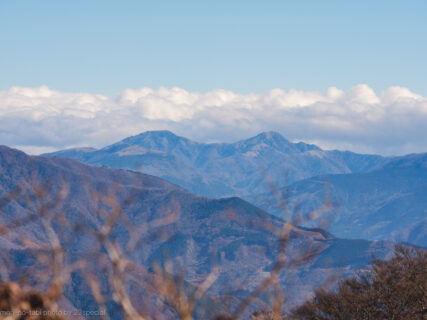 阿波国見山　初冬の陽だまりハイク